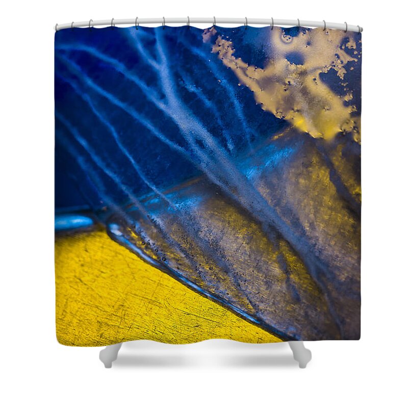 Ice Shower Curtain featuring the photograph Ice #26 by Elmer Jensen