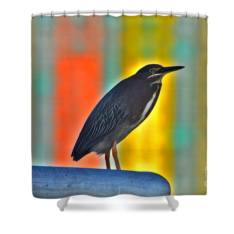 Green Heron Shower Curtain featuring the photograph 27- Green Heron by Joseph Keane