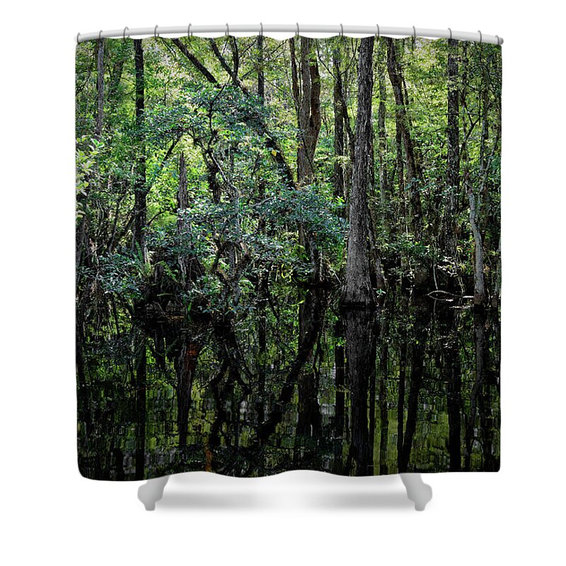 Everglades Shower Curtain featuring the photograph 2758 Sweetwater Strand by Rudy Umans
