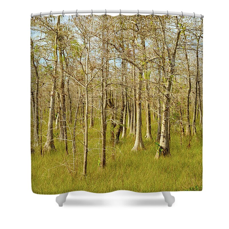 Big Cypress National Preserve Shower Curtain featuring the photograph Florida Everglades by Raul Rodriguez