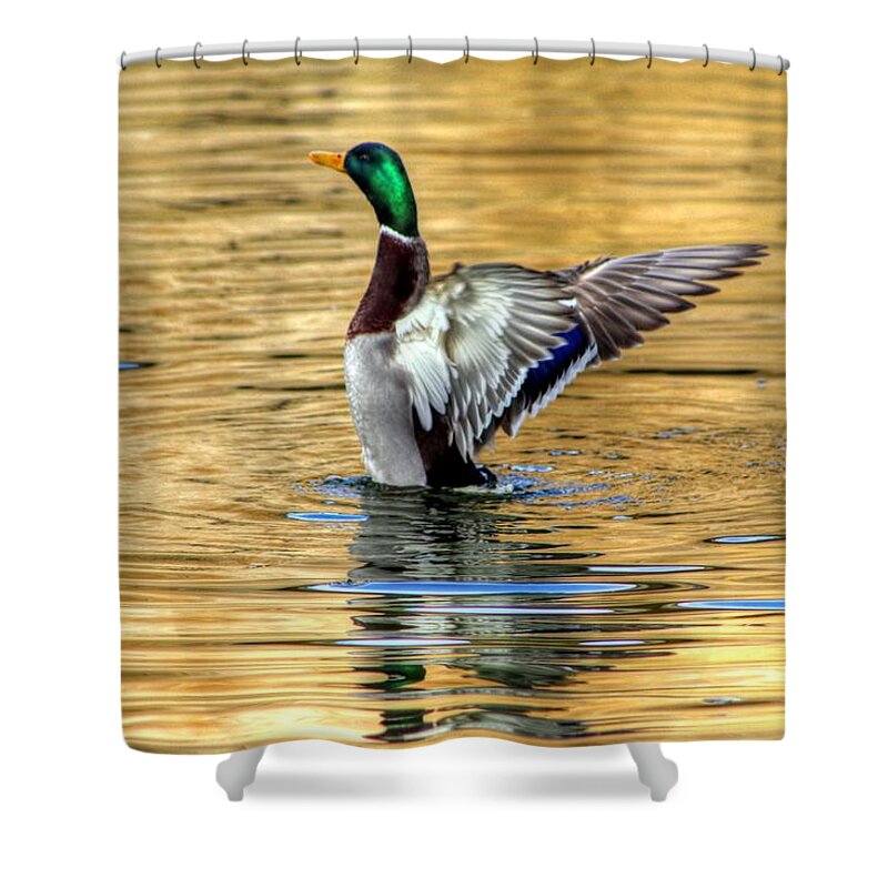 Hannover Zoo Germany Shower Curtain featuring the photograph Hannover Zoo GERMANY #29 by Paul James Bannerman