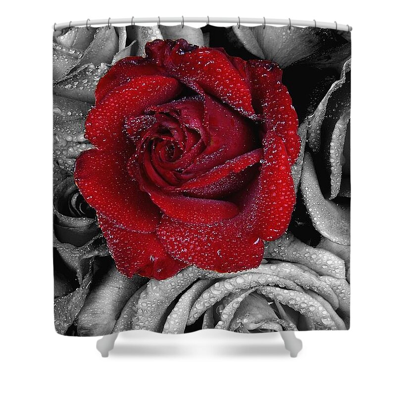 Rose Shower Curtain featuring the digital art Rose #29 by Maye Loeser