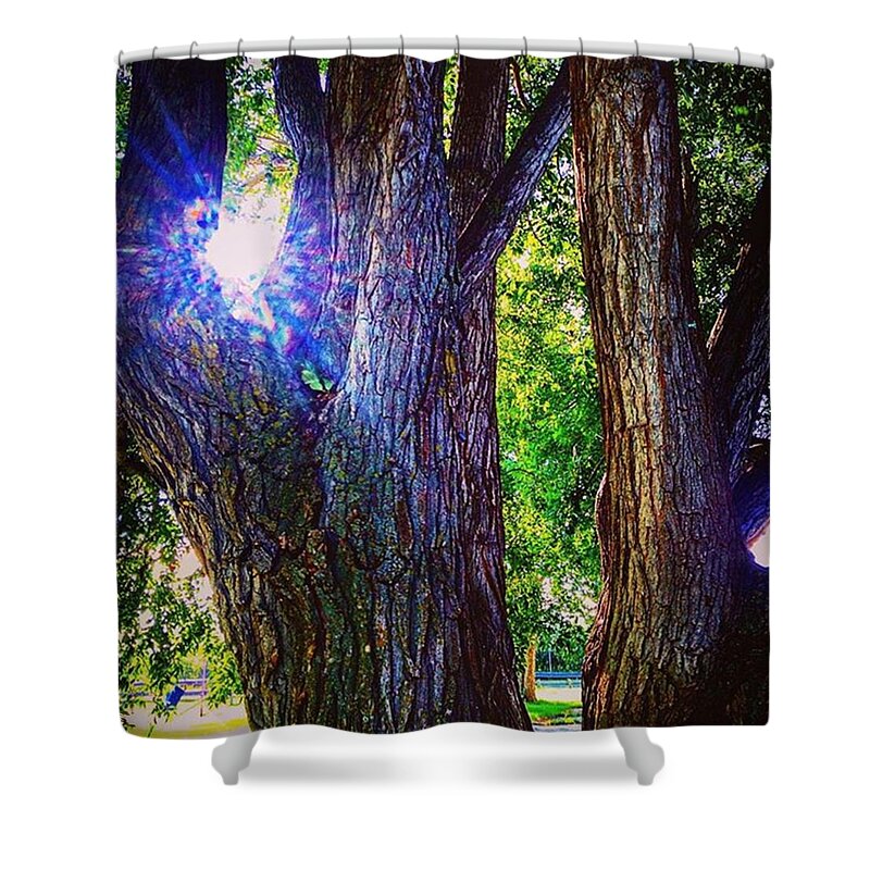 Beautiful Shower Curtain featuring the photograph Light Of Life by Shawn Gordon