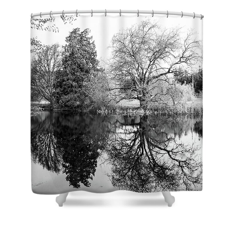 Trees Shower Curtain featuring the photograph Two Trees Reflected - bw by Marilyn Wilson