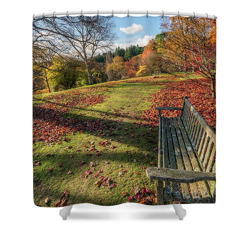 Autumn Shower Curtain featuring the photograph Autumn Leaves #3 by Adrian Evans