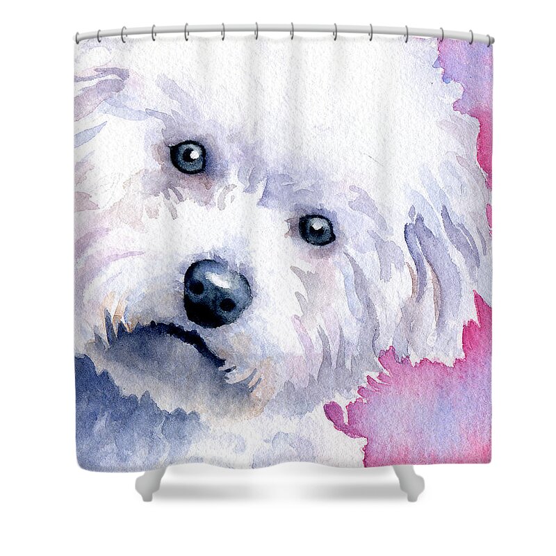 Bichon Shower Curtain featuring the painting Bichon Frise by David Rogers