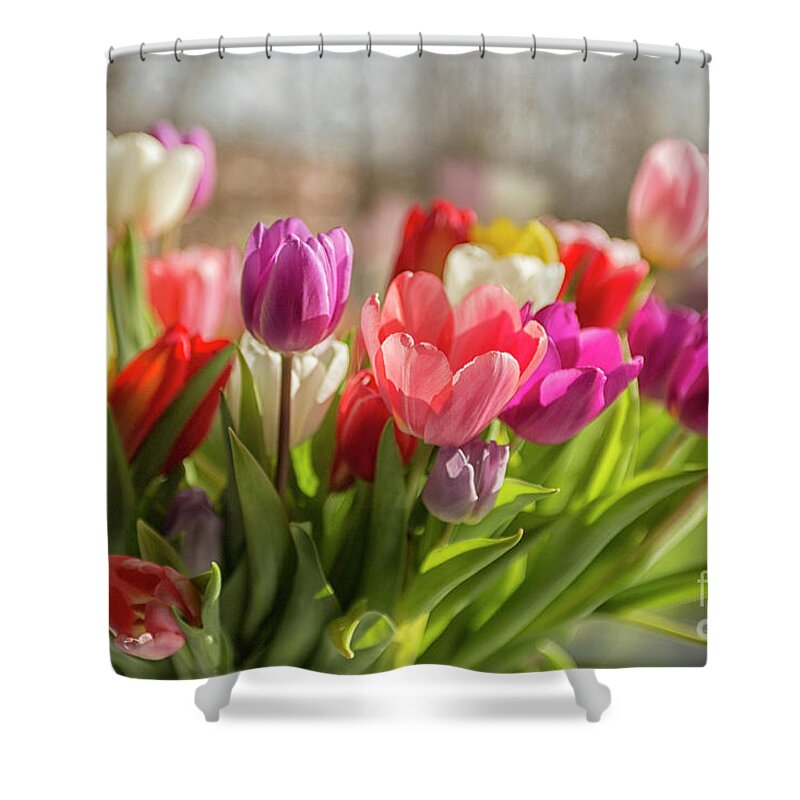 Spring Shower Curtain featuring the photograph Spring is in the air by Patricia Hofmeester