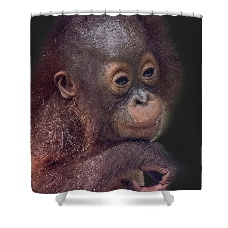 Orangutan Shower Curtain featuring the digital art Contemplation #3 by Larry Linton