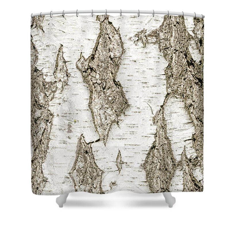 Abstract Shower Curtain featuring the photograph Detail of Brich Bark Texture #3 by Alain De Maximy