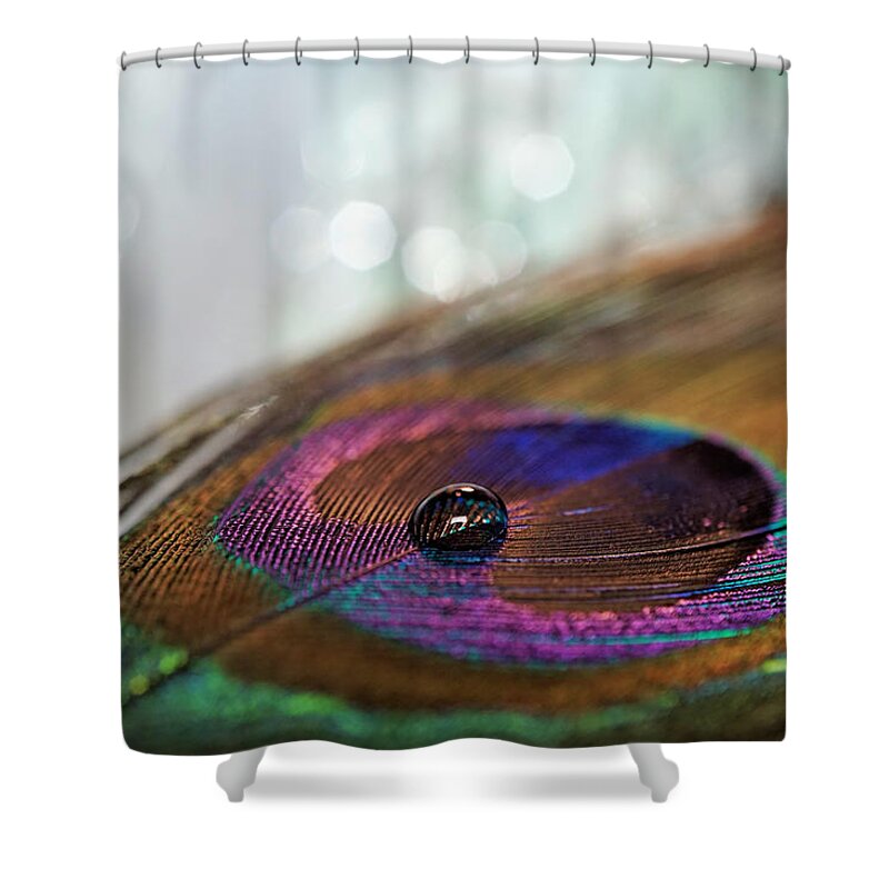 Feather Shower Curtain featuring the photograph Drop of Feather by Lilia D