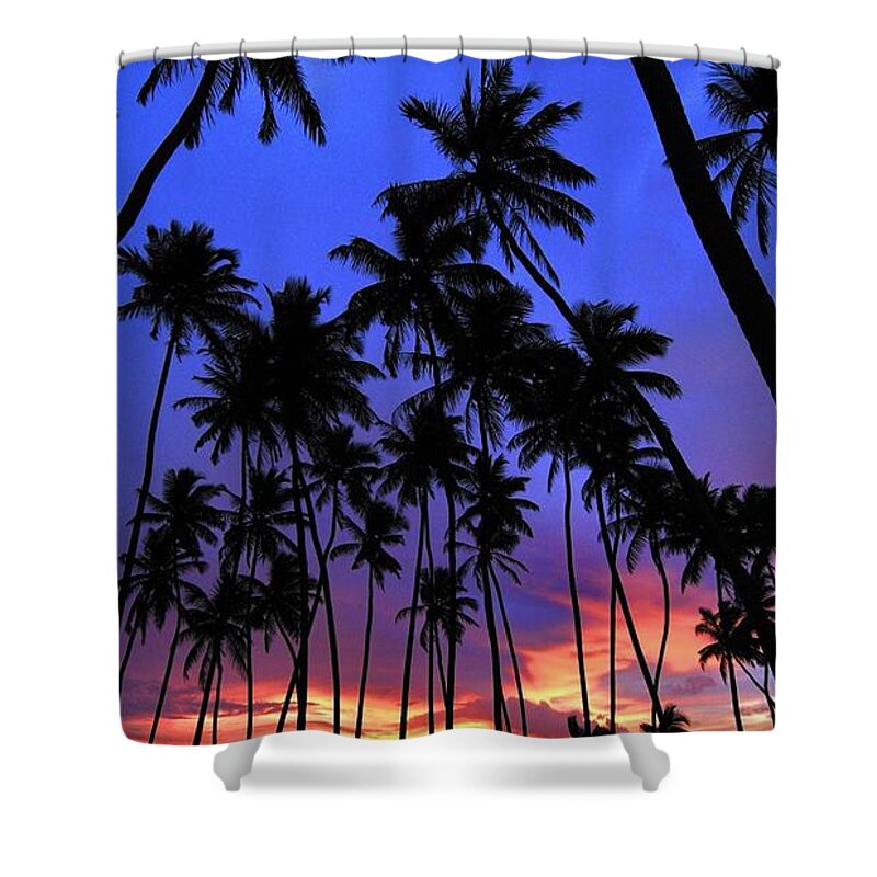 Palm Tree Shower Curtain featuring the photograph Palm Tree #3 by Jackie Russo