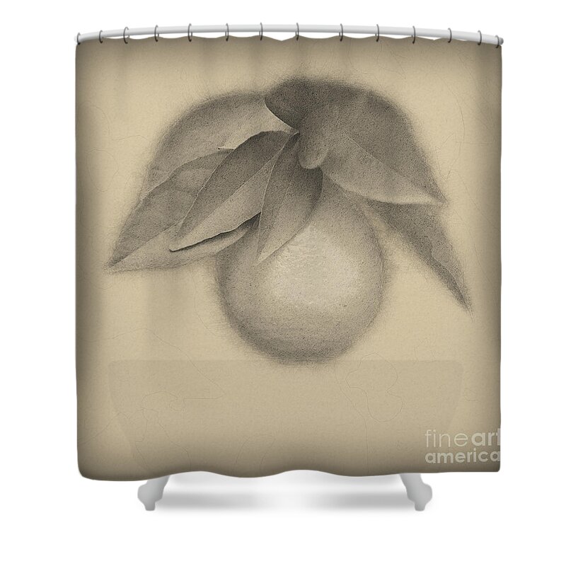 Ripe Shower Curtain featuring the photograph Ripe orange on a tree #3 by Ilan Rosen
