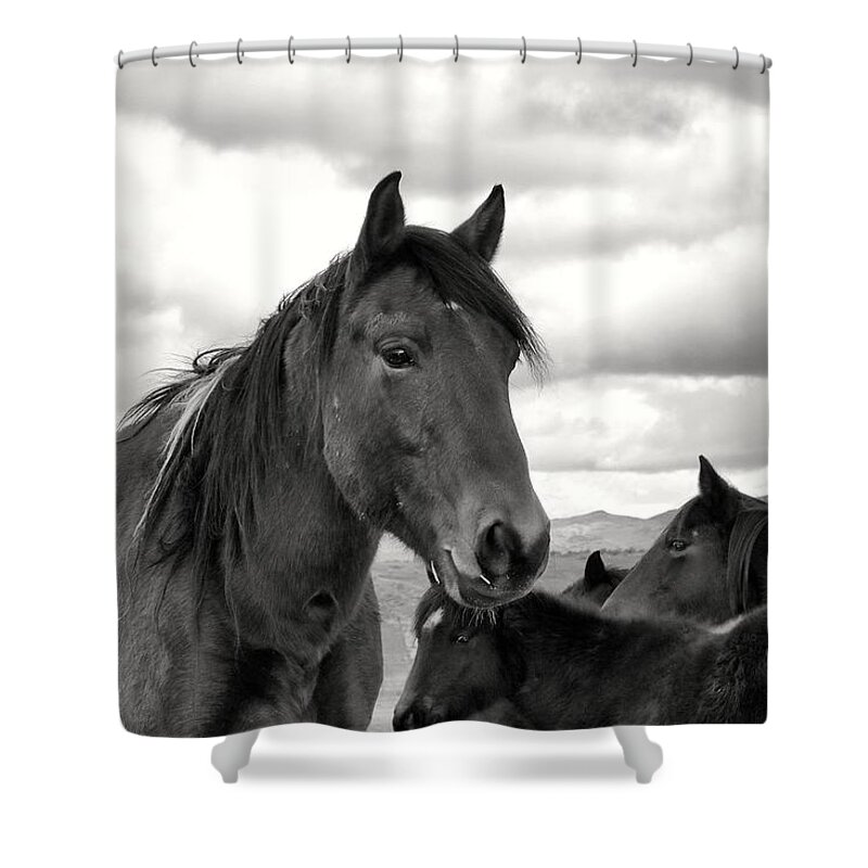 Virginia Range Mustangs Shower Curtain featuring the photograph Virginia Range Mustangs #3 by Maria Jansson