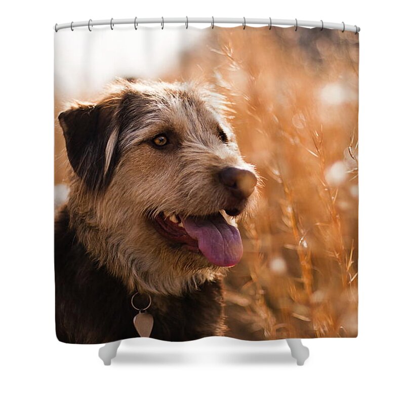 Dog Shower Curtain featuring the digital art Dog #30 by Super Lovely