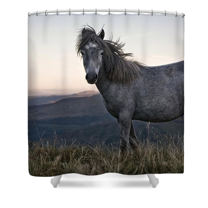 Horse Shower Curtain featuring the photograph Horse #30 by Mariel Mcmeeking