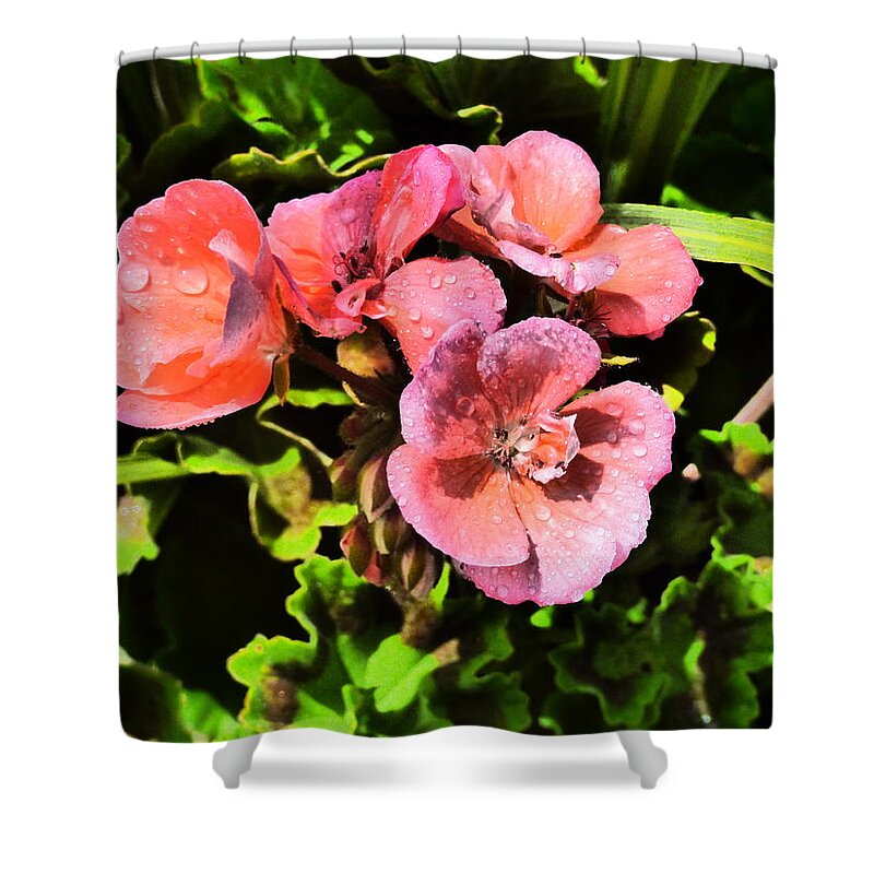 Flower Garden Idaho Photography Shower Curtain featuring the photograph Real Real Gone #30 by Paul Stanner