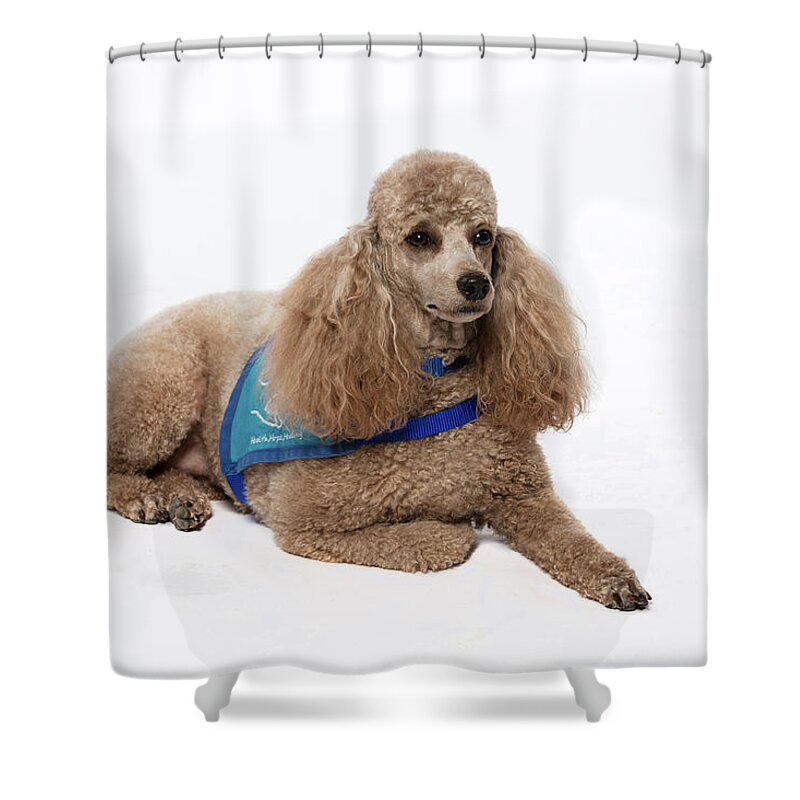 Therapet Shower Curtain featuring the photograph 3010.094 Therapet #3010094 by M K Miller
