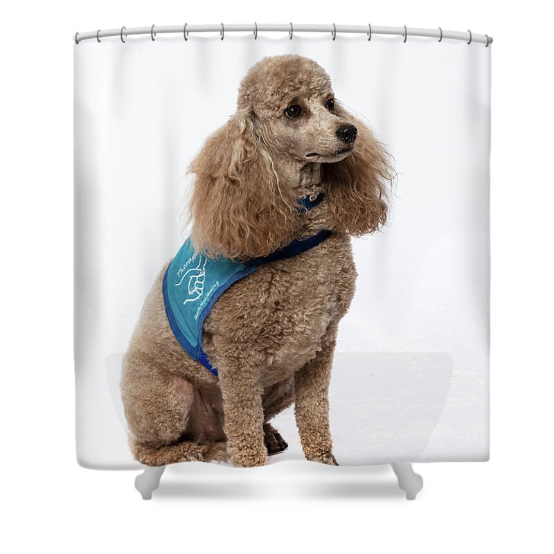 Therapet Shower Curtain featuring the photograph 3010.095 Therapet #3010095 by M K Miller