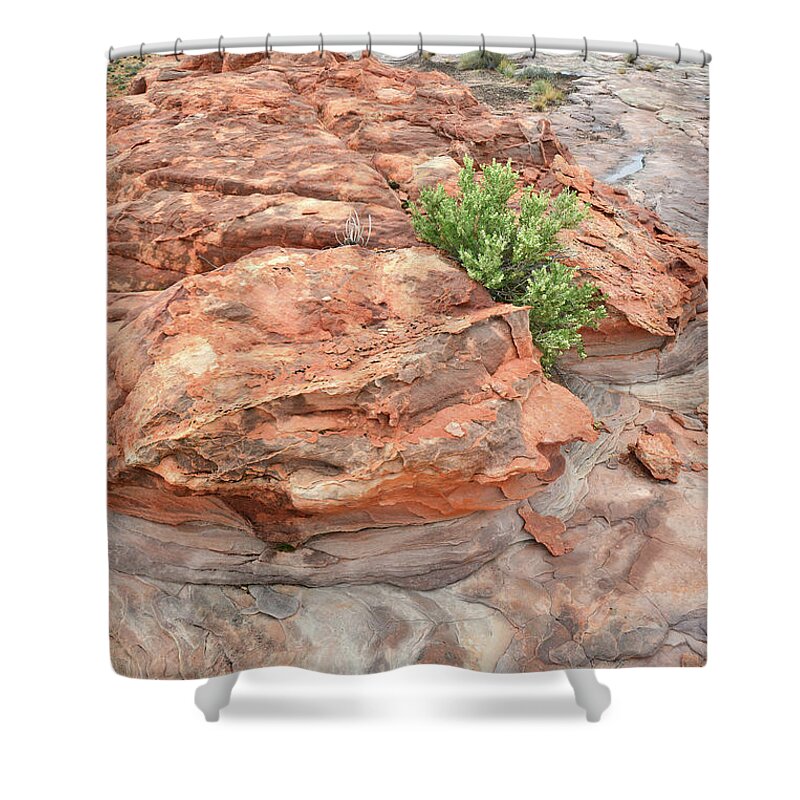Valley Of Fire State Park Shower Curtain featuring the photograph Colorful Sandstone in Valley of Fire #32 by Ray Mathis