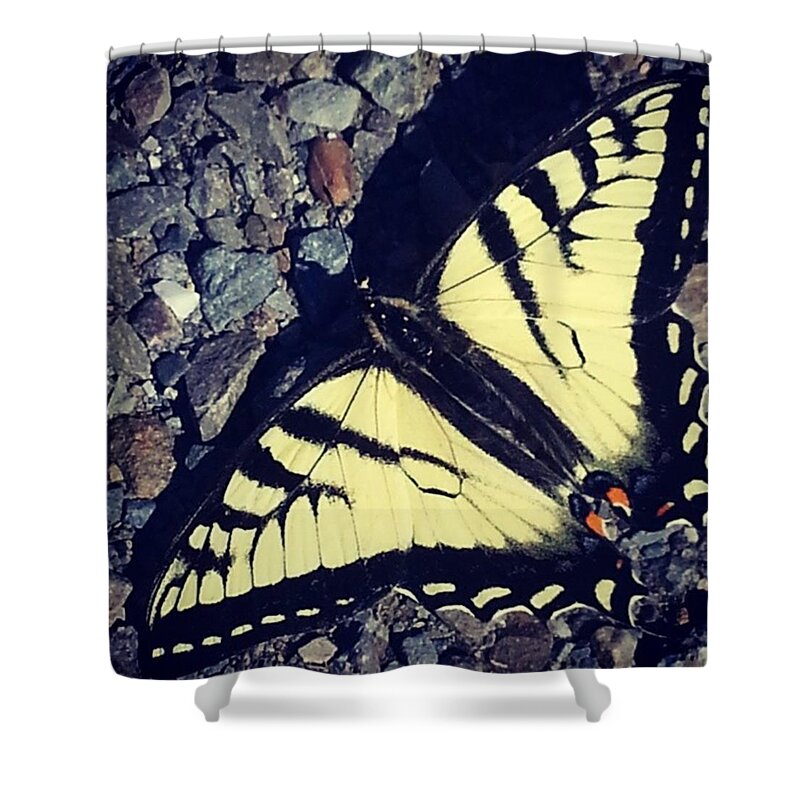 Still Shower Curtain featuring the photograph Butterfly by Lisa Amakye-Ansah