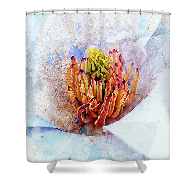 Texture Shower Curtain featuring the photograph Texture Flowers #36 by Prince Andre Faubert