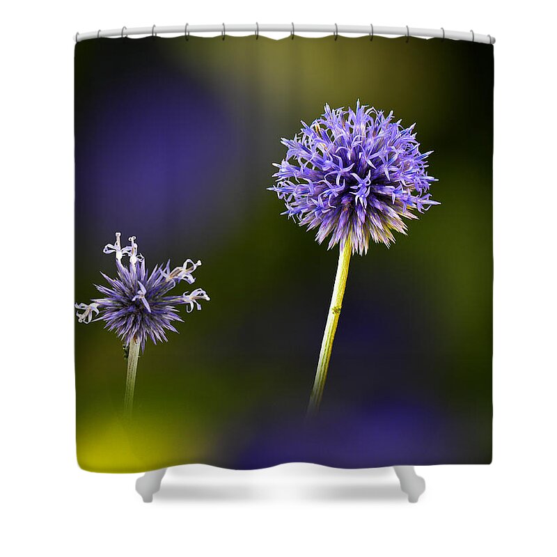 Flowers Shower Curtain featuring the photograph 3998 by Peter Holme III