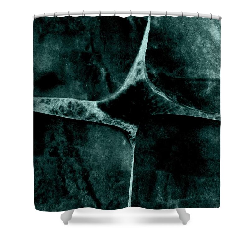 Abstract Shower Curtain featuring the digital art Abstract by Cooky Goldblatt