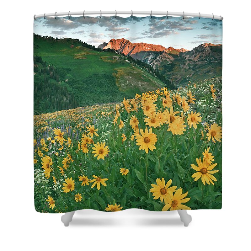 Albion Basin Shower Curtain featuring the photograph Albion Basin Wildflowers #4 by Douglas Pulsipher