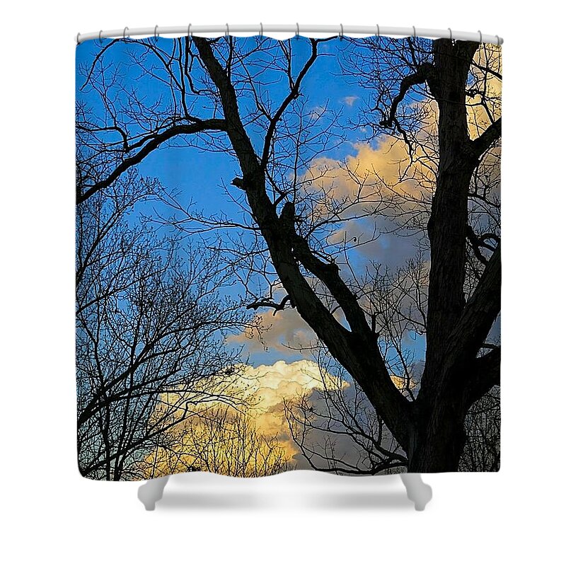 Sunset Shower Curtain featuring the photograph February Sunset #4 by Betty Buller Whitehead