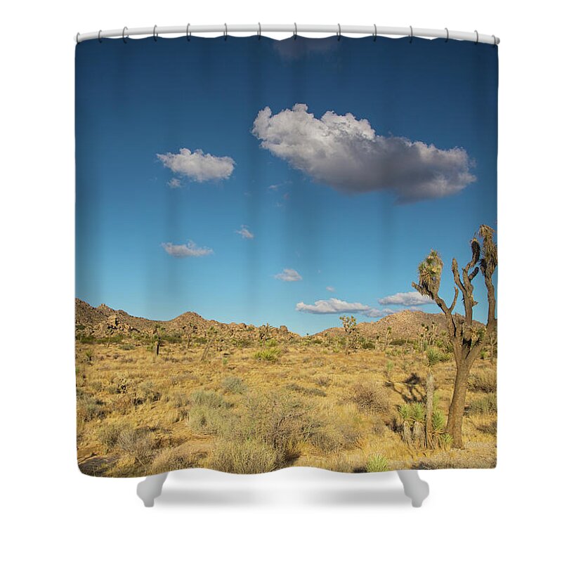 Joshua Trees Wide Open Spaces Shower Curtain featuring the photograph Joshua tree sunset #4 by Kunal Mehra