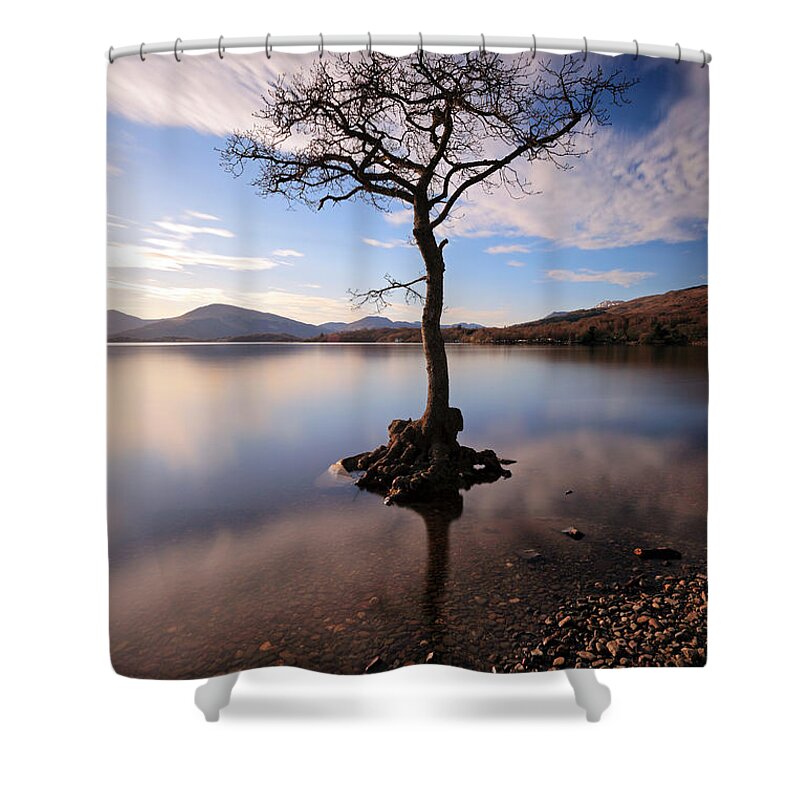 Tree Shower Curtain featuring the photograph Loch Lomond Tree #3 by Grant Glendinning