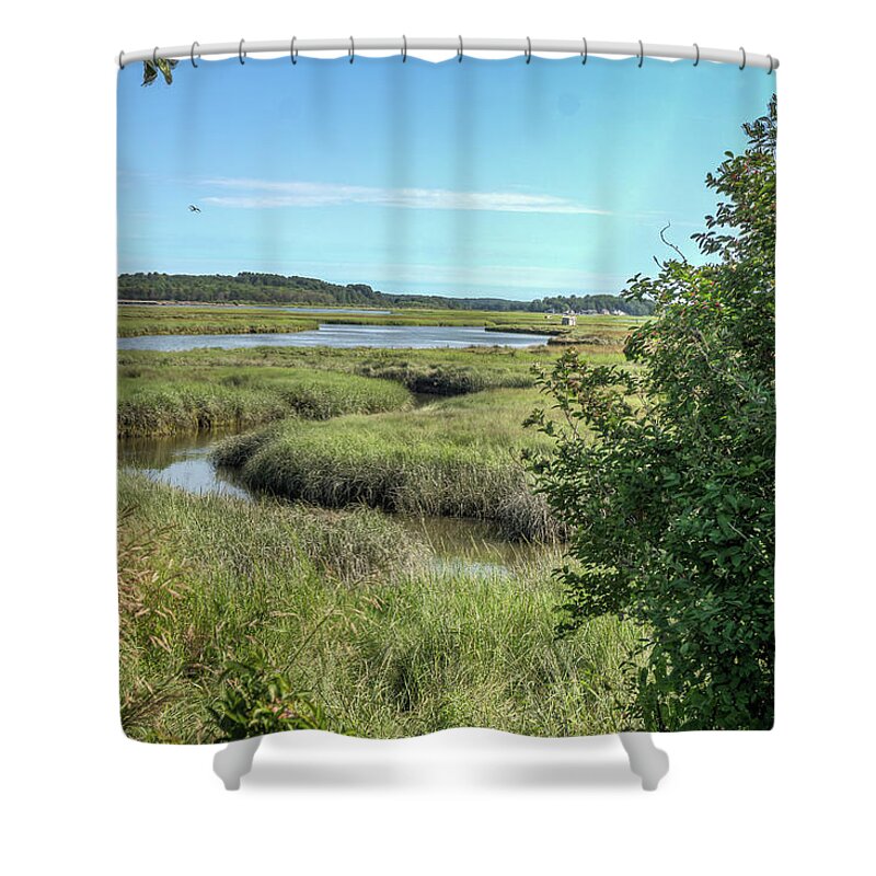 Maine Shower Curtain featuring the photograph Marsh #4 by Jane Luxton