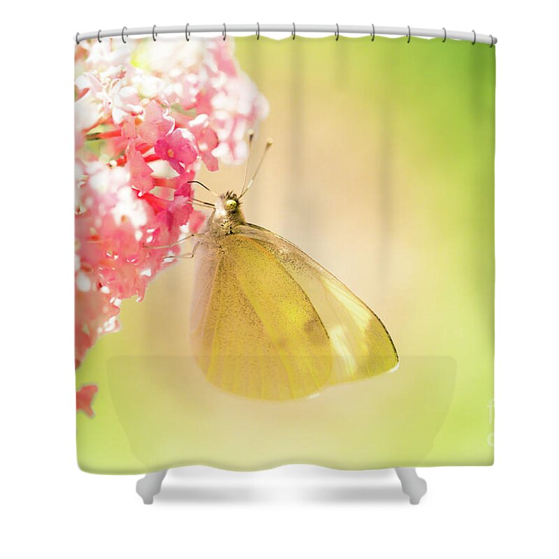 Europe Shower Curtain featuring the photograph Pieris brassicae, the large white, also called cabbage butterfly #4 by Amanda Mohler