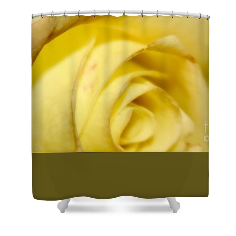Yellow Rose Shower Curtain featuring the photograph Rose by Deena Withycombe