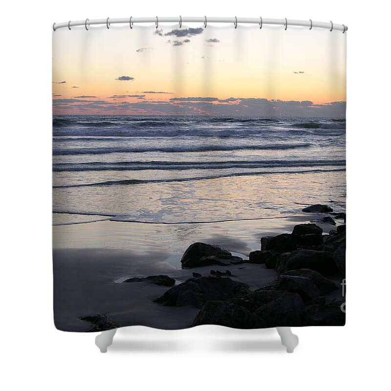 Seascape Shower Curtain featuring the photograph 4 Sandpipers In The Foreground by Julianne Felton