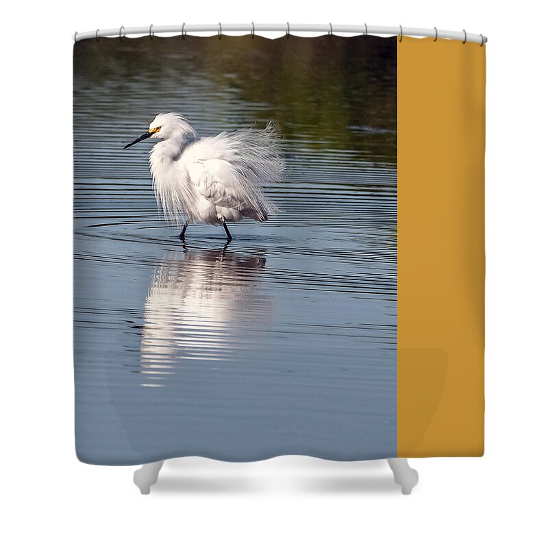 Snowy Egret Shower Curtain featuring the photograph Snowy Egret #6 by Tam Ryan