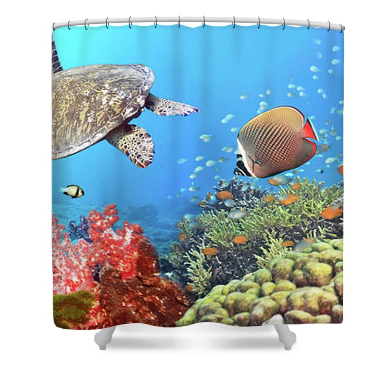 Butterflyfish Shower Curtain featuring the photograph Underwater panorama by MotHaiBaPhoto Prints