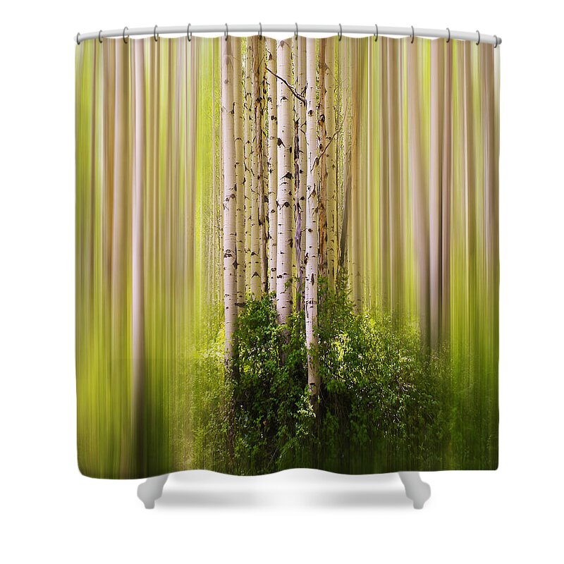 Trees Shower Curtain featuring the photograph 4012 by Peter Holme III