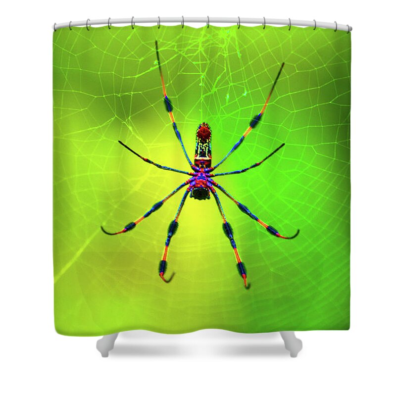 Banana Spider Shower Curtain featuring the digital art 42- Come Closer by Joseph Keane