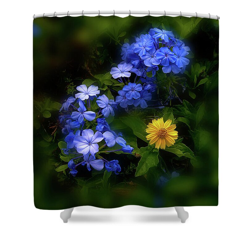 Flowers Shower Curtain featuring the photograph 4205 by Peter Holme III