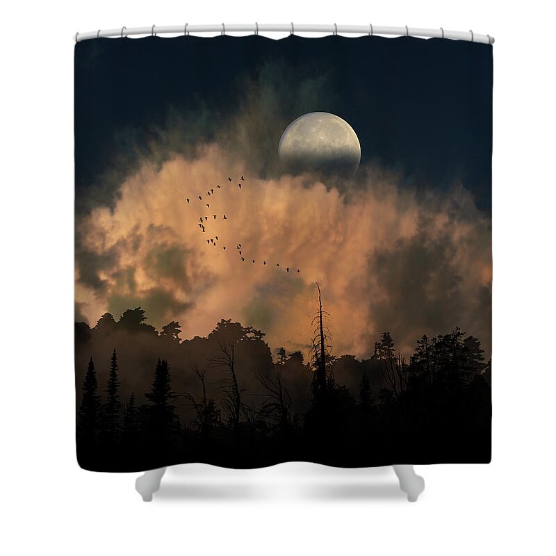 Trees Shower Curtain featuring the photograph 4234 by Peter Holme III