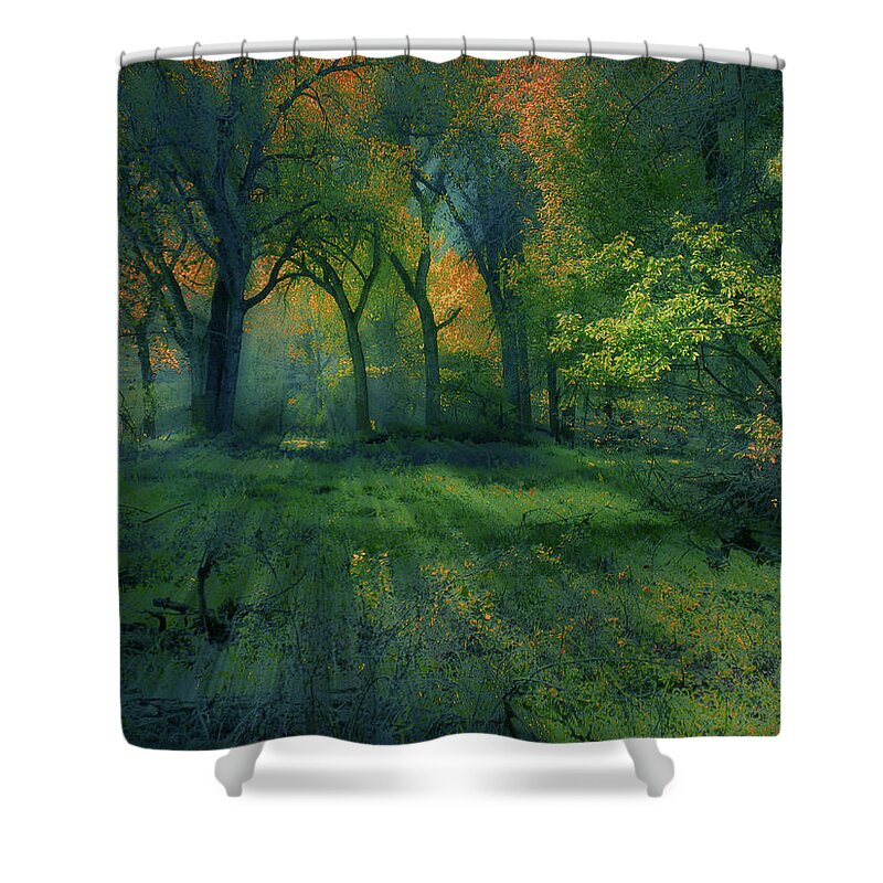 Trees Shower Curtain featuring the photograph 4363 by Peter Holme III
