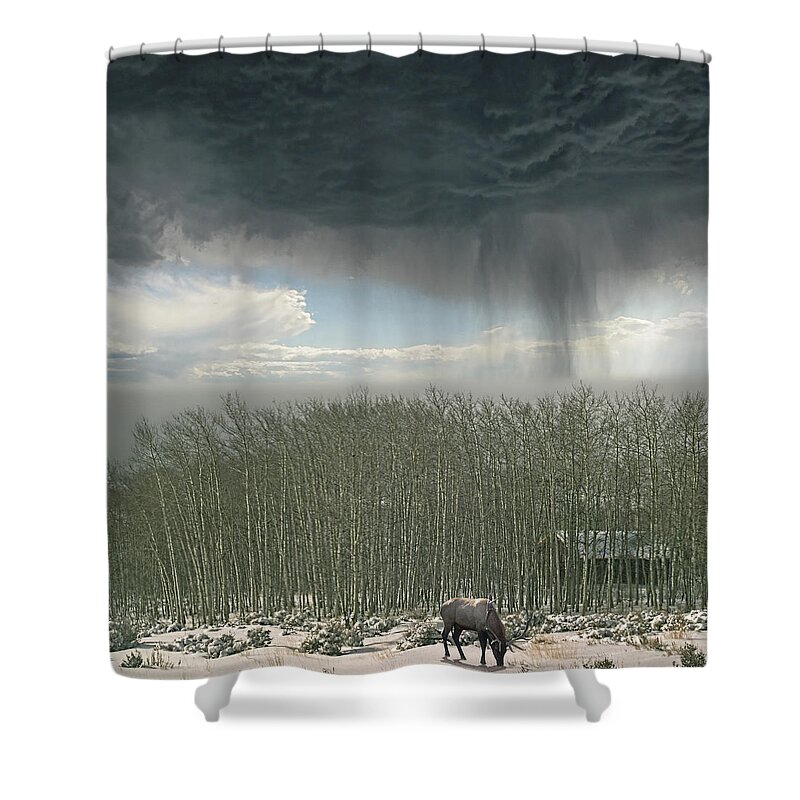 Animal Shower Curtain featuring the photograph 4375 by Peter Holme III