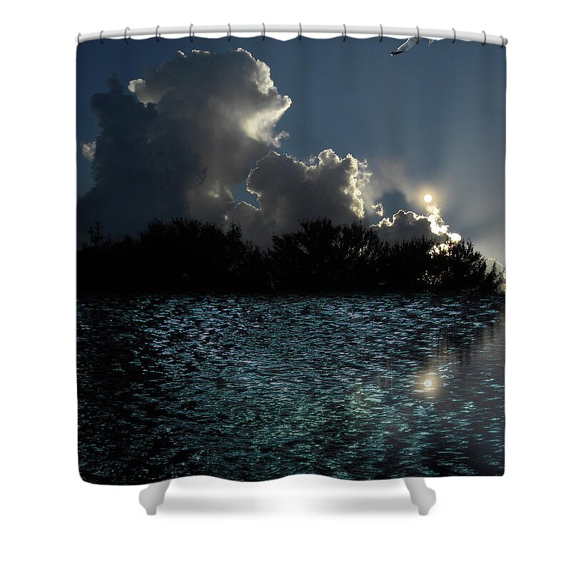 Water Shower Curtain featuring the photograph 4377 by Peter Holme III
