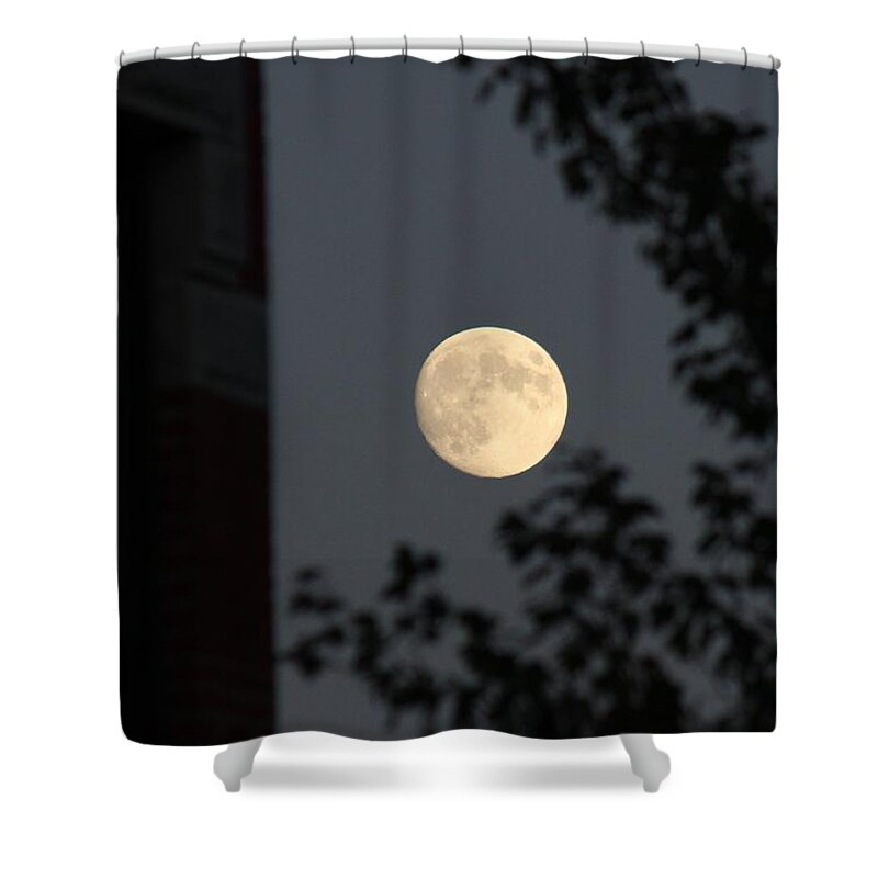 Moon Shower Curtain featuring the photograph Moons #44 by Donn Ingemie