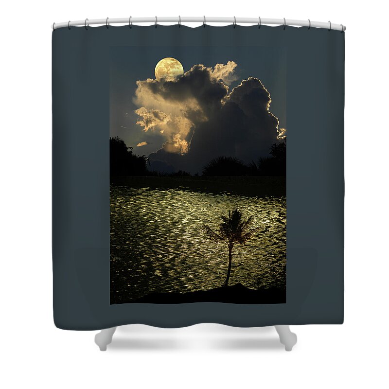 Moon Shower Curtain featuring the photograph 4553 by Peter Holme III