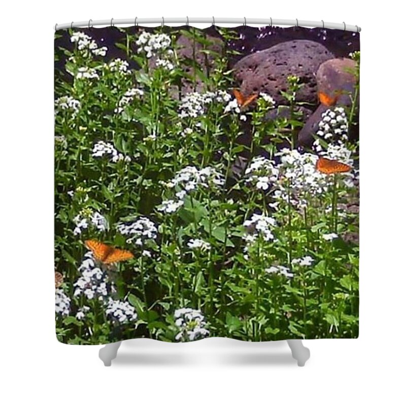 Butterfly Shower Curtain featuring the photograph Butterfly Brook by Heather Snyder