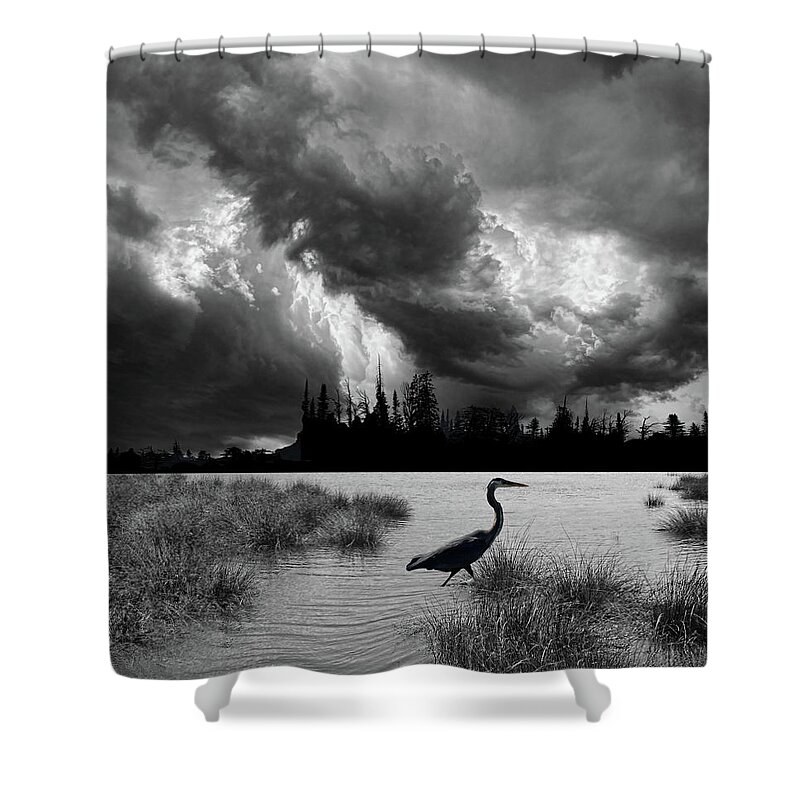 Heron Shower Curtain featuring the photograph 4620 by Peter Holme III