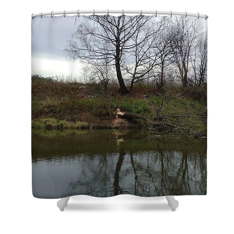 Beavers Never Stop Working Their Woods Shower Curtain featuring the photograph Beaver's job by Konstantin Novikov