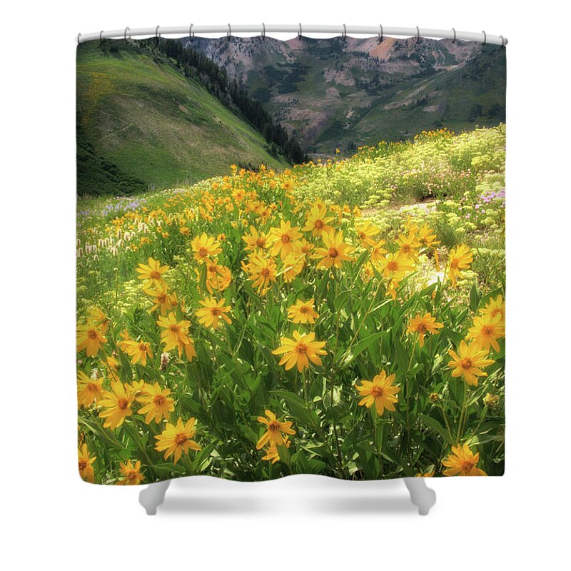  Shower Curtain featuring the photograph Albion Basin Wildflowers #5 by Douglas Pulsipher
